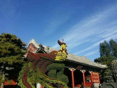 頤和園的秋天