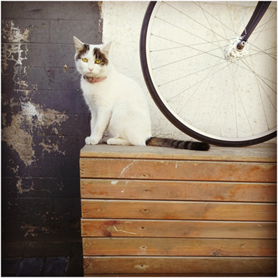 半年來用Tab S拍的各種美圖，我也是夠拼的了~