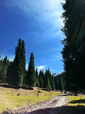 江布拉克之旅，Galaxy S5之作