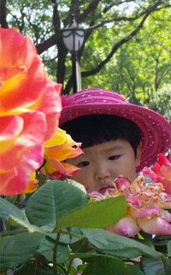 【美麗的ta】花兒與少年
