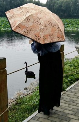 美女與黑天鵝