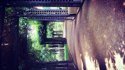 【戀之風(fēng)景】小區(qū)風(fēng)景