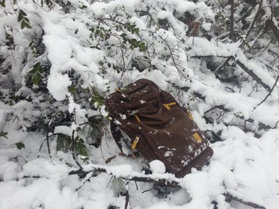 【美麗的ta】傲雪紅塵