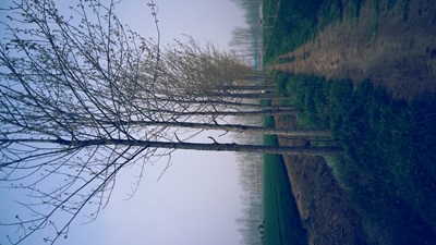 戀之風景