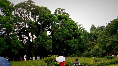 【戀上風(fēng)景】福州鼓齡美 