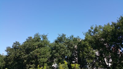 8月24號閱兵藍