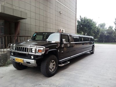 這車夠牛的夠長的什么牌子