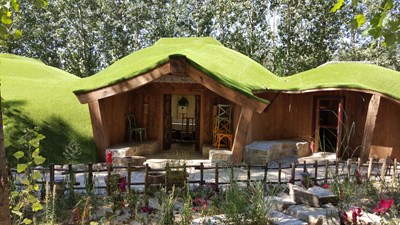 帶著大edge去郊游