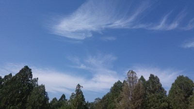 美麗龍湖