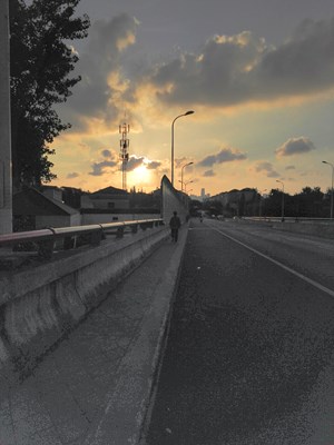 晨