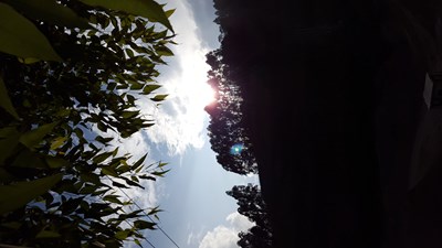 我喜歡的天空！????
