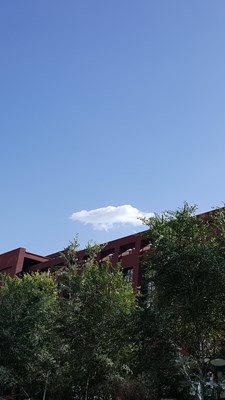 棉花糖