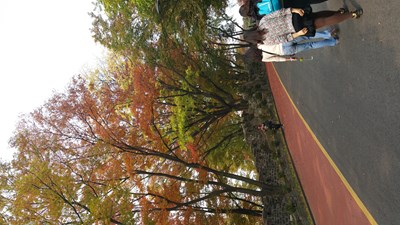 南山公園