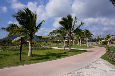 【亞龍灣玫瑰谷】金秋沒有春意盎然但也別有一番風(fēng)味