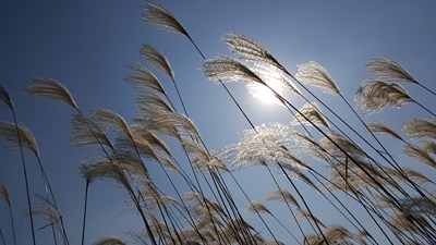 秋日的私語