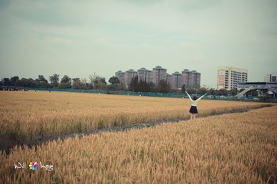 鄉(xiāng)間的小路