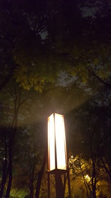 路邊的公園夜景