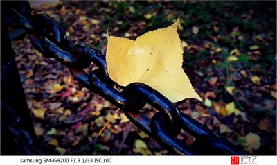 我用S6記錄身邊的景色（多圖）