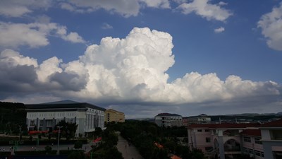 第三次嘗試入冬失敗