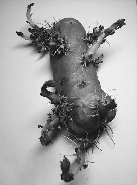 2014-01-18 11.55.22 1.jpg