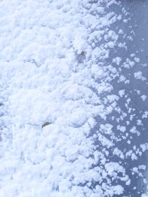 好美的雪花！