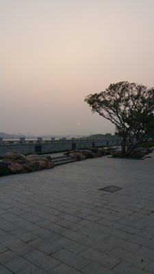 夕陽