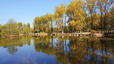 運(yùn)河森林公園