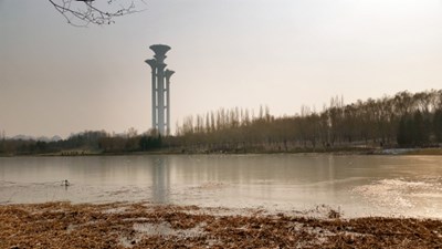 蕭條中充滿生機(jī)