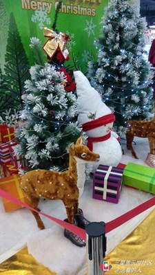 【隆冬百態(tài)】+息縣+上班地方+街上商場(chǎng)