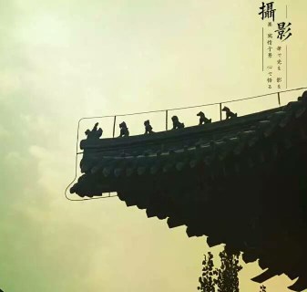 隨拍