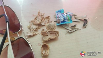 垃圾也可以這么美
