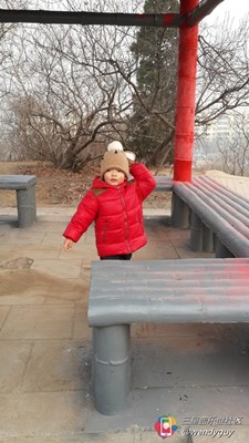 【隆冬百態(tài)】+北京+凋零冬日的一抹嫣紅