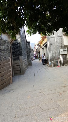 試試看看
