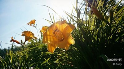 S6 edge+ 拍出的勝過(guò)壁紙