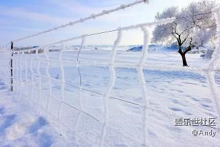 我是東北小伙，這就是我家，均為S6 edge +拍攝