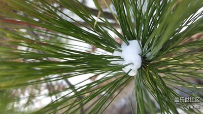 潭嶺天湖雪記