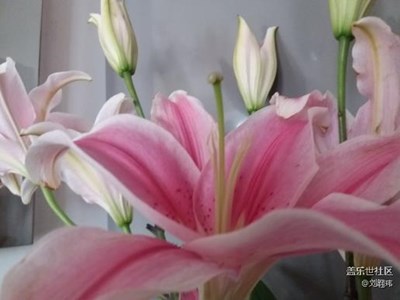 A5 2016也能玩出新花樣。