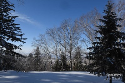 藍(lán)天雪地