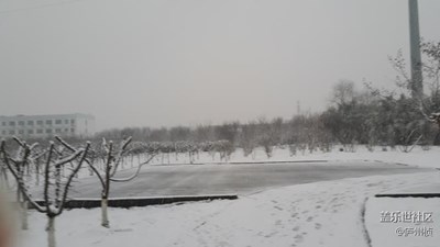 合肥降雪了～雪中情～雪中行