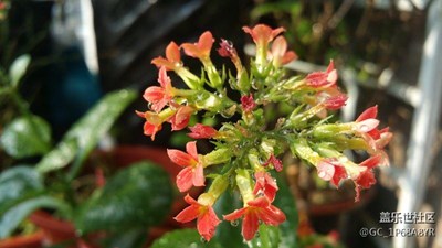 春節(jié)曬幸福