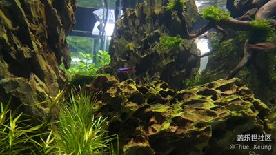 A9隨拍，水下樣張