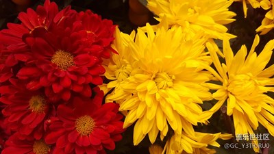 春暖花開