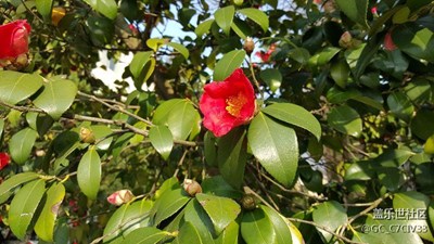 好片就是這么隨意。