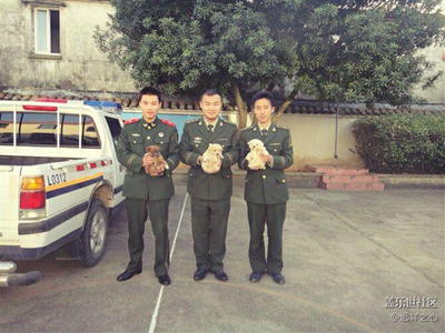 好友結(jié)婚，當年一起抱狗的少年變男人了。