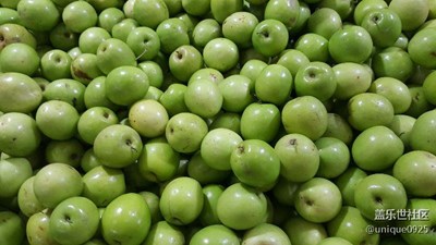 知道它們的名字嗎??？