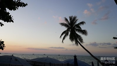 圣誕和元旦連休的泰國(guó)游記，Day5-part2，芭提雅奇妙夜