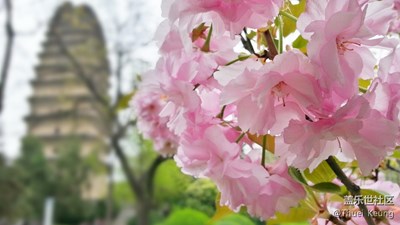 伽藍(lán)寺聽雨聲盼永恒