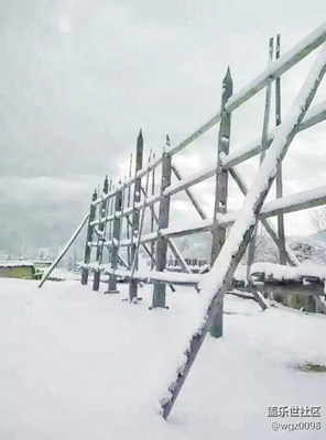 【分享】2016/03/09三月飛雪