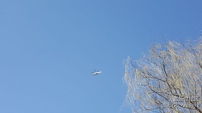 飛機