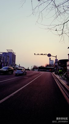 隨手拍拍